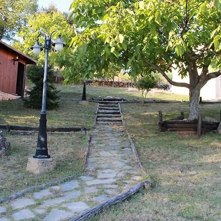 Dimitra'S Villas إلاتوشوري المظهر الخارجي الصورة