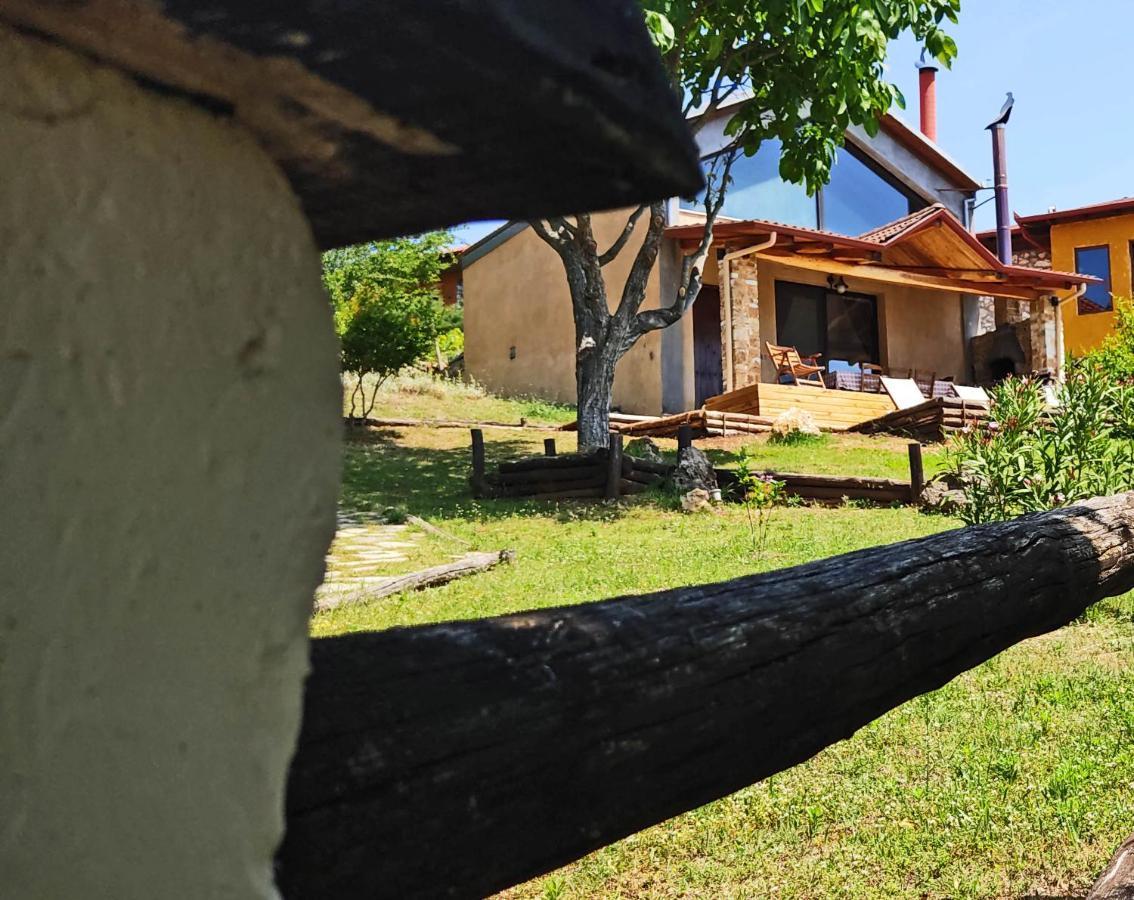 Dimitra'S Villas إلاتوشوري المظهر الخارجي الصورة