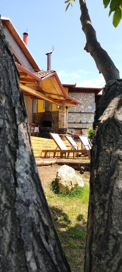 Dimitra'S Villas إلاتوشوري المظهر الخارجي الصورة
