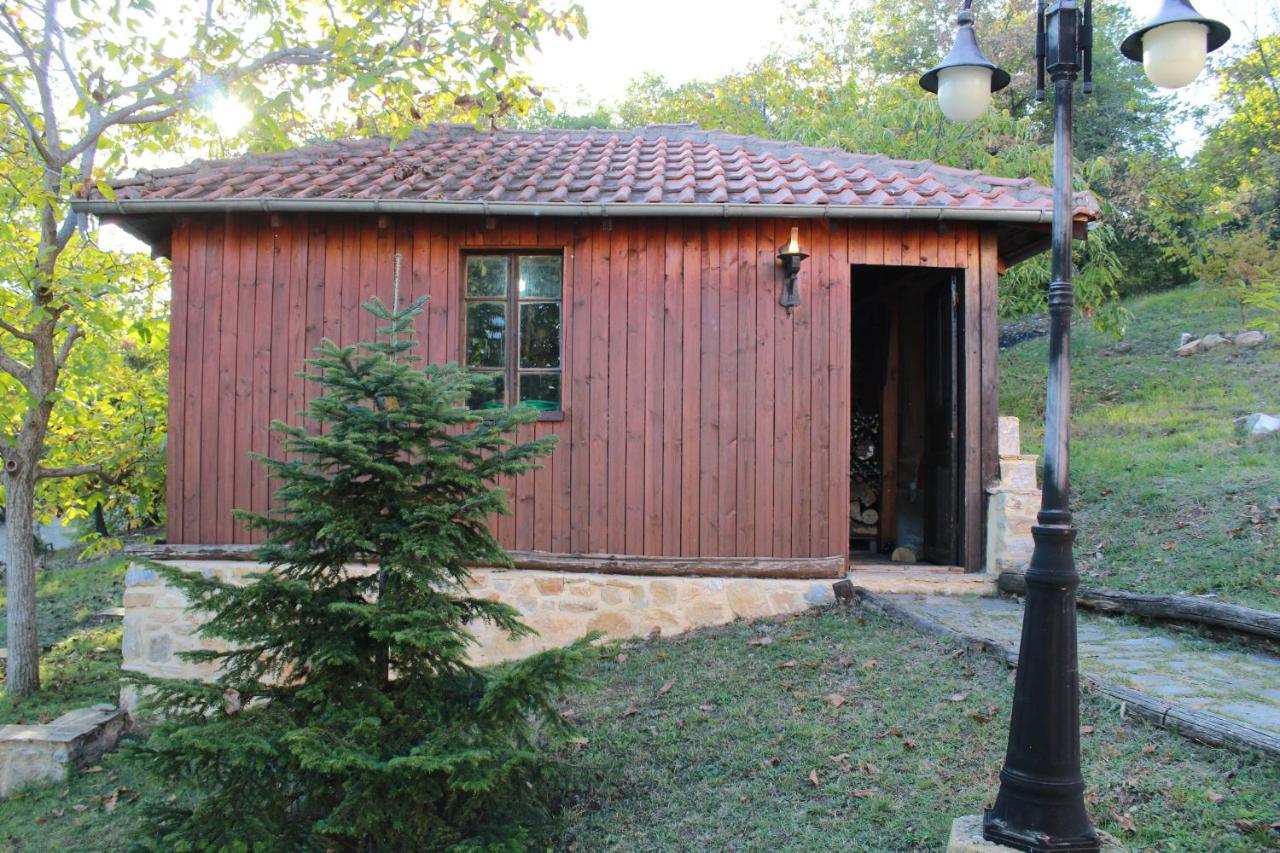 Dimitra'S Villas إلاتوشوري المظهر الخارجي الصورة